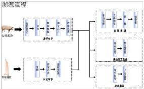 豬肉溯源系統(tǒng)軟件設計與開發(fā)解決方案 構(gòu)筑食品安全數(shù)字防線